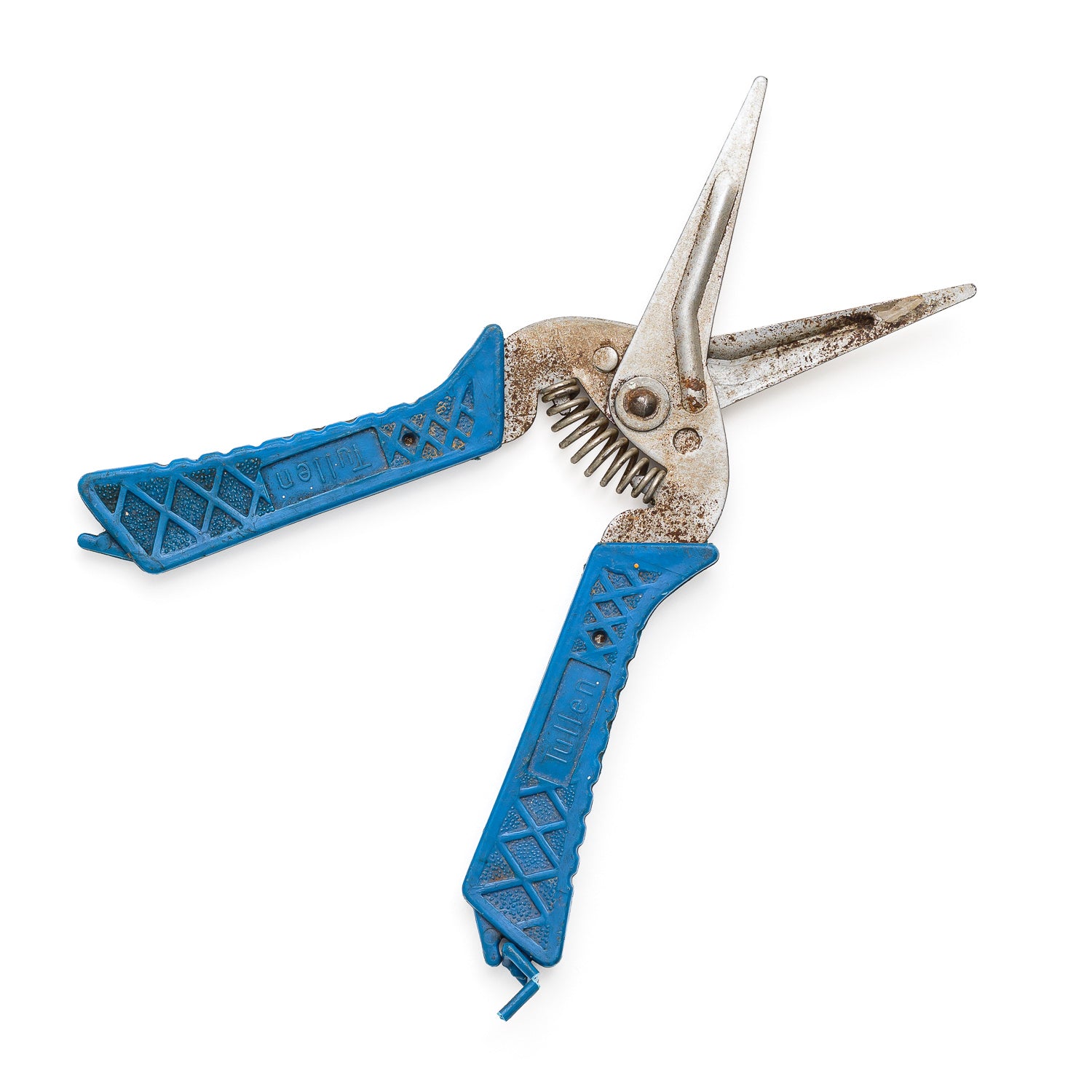 Blue Tullen Snips old model